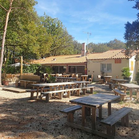 Mobilhome Proche Puy Dufou La Boissiere-de-Montaigu Esterno foto
